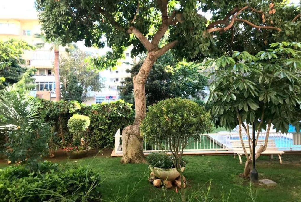 Central Beach Apartment With Free Parking And Pool Marbella Exterior photo